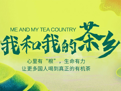 我和我的茶乡--心里有“根”，生命有力！